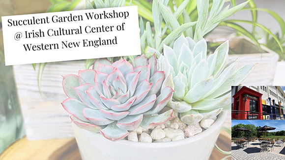 Succulent Garden Workshop